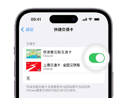 孟村apple维修点分享iPhone上更换Apple Pay快捷交通卡手绘卡面 