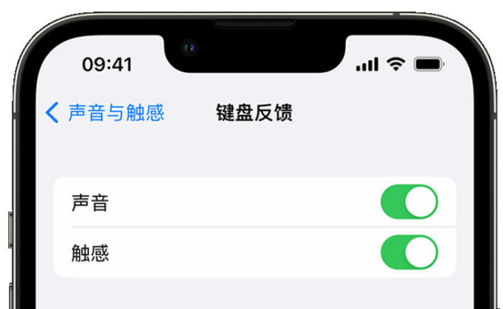 孟村苹果手机维修分享iPhone 14触感键盘使用方法 