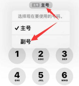 孟村苹果14维修店分享iPhone 14 Pro Max使用副卡打电话的方法 