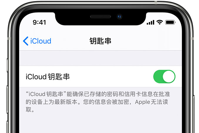 孟村苹果手机维修分享在 iPhone 上开启 iCloud 钥匙串之后会储存哪些信息 