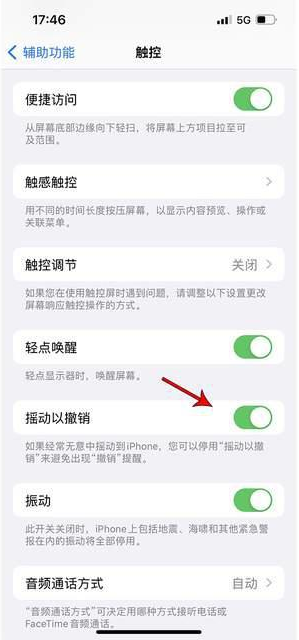 孟村苹果手机维修分享iPhone手机如何设置摇一摇删除文字 